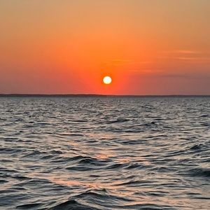 Meet your Posher, Amorie